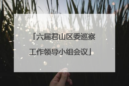 六届君山区委巡察工作领导小组会议