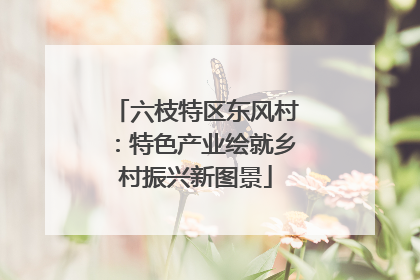 六枝特区东风村：特色产业绘就乡村振兴新图景