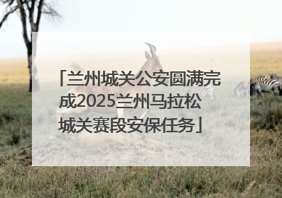 兰州城关公安圆满完成2025兰州马拉松城关赛段安保任务