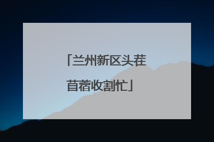 兰州新区头茬苜蓿收割忙