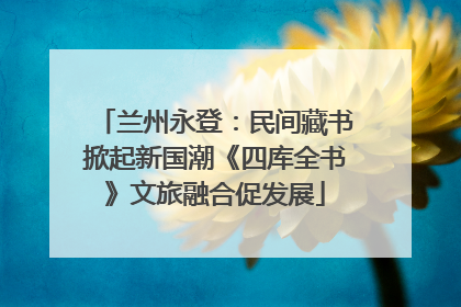 兰州永登：民间藏书掀起新国潮《四库全书》文旅融合促发展