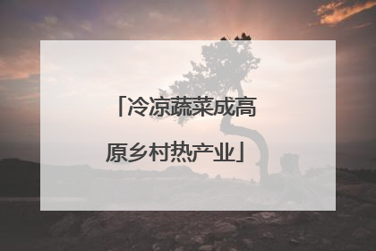 冷凉蔬菜成高原乡村热产业