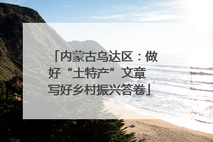 内蒙古乌达区：做好“土特产”文章 写好乡村振兴答卷