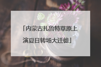 内蒙古扎鲁特草原上演夏日转场大迁徙