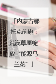 内蒙古鄂托克前旗：荒漠草原绽放“能源马兰花”