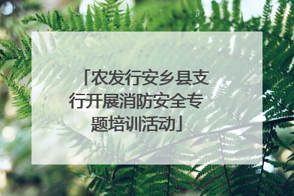 农发行安乡县支行开展消防安全专题培训活动