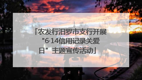农发行汨罗市支行开展“6·14信用记录关爱日”主题宣传活动