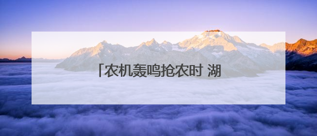 农机轰鸣抢农时 湖滨“开镰”麦飘香