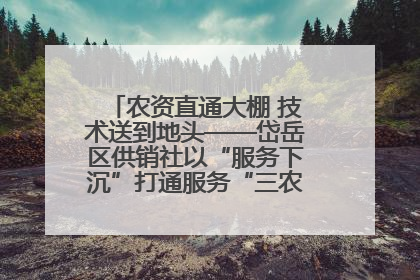 农资直通大棚 技术送到地头——岱岳区供销社以“服务下沉”打通服务“三农”最后一公里