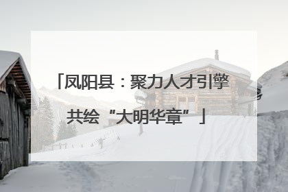 凤阳县：聚力人才引擎 共绘“大明华章”