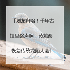 划龙舟咯！千年古镇里桨声响，黄龙溪恢复传统龙船大会