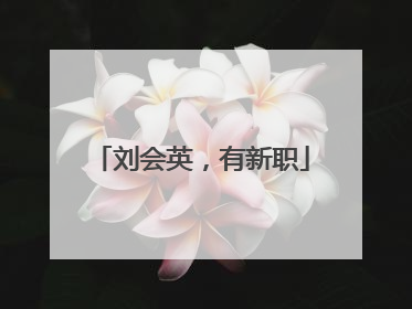 刘会英，有新职