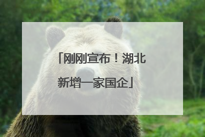 刚刚宣布！湖北新增一家国企
