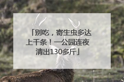 别吃，寄生虫多达上千条！一公园连夜清出130多斤