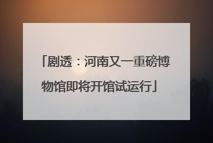 剧透：河南又一重磅博物馆即将开馆试运行