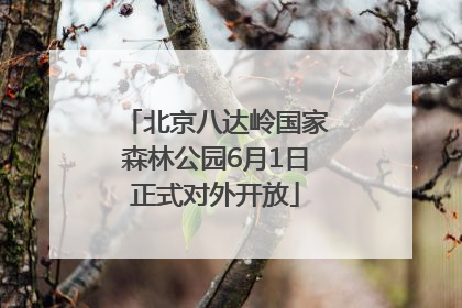 北京八达岭国家森林公园6月1日正式对外开放