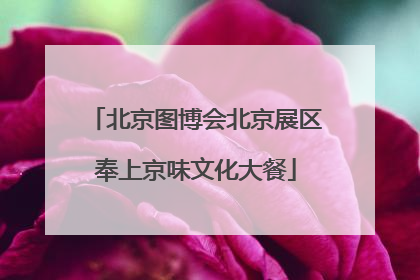 北京图博会北京展区奉上京味文化大餐