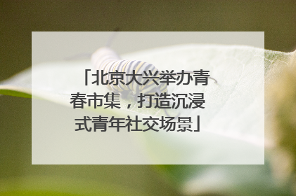 北京大兴举办青春市集，打造沉浸式青年社交场景