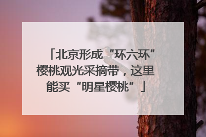 北京形成“环六环”樱桃观光采摘带，这里能买“明星樱桃”