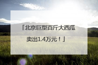 北京巨型百斤大西瓜卖出1.4万元！