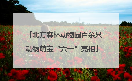 北方森林动物园百余只动物萌宝“六一”亮相