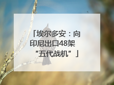 埃尔多安：向印尼出口48架“五代战机”