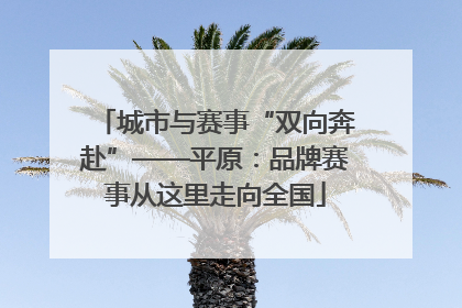城市与赛事“双向奔赴”——平原：品牌赛事从这里走向全国