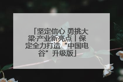 坚定信心 勇挑大梁·产业新亮点丨保定全力打造“中国电谷”升级版