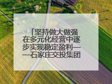 坚持做大做强 在多元化经营中逐步实现稳定盈利——石家庄交投集团做优做强典型报道之三