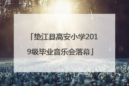 垫江县高安小学2019级毕业音乐会落幕