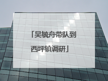 吴毓舟带队到西坪镇调研