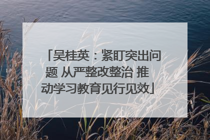 吴桂英：紧盯突出问题 从严整改整治 推动学习教育见行见效