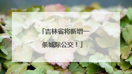 吉林省将新增一条城际公交！