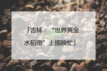 吉林：“世界黄金水稻带”上插秧忙