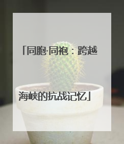 同胞·同袍：跨越海峡的抗战记忆