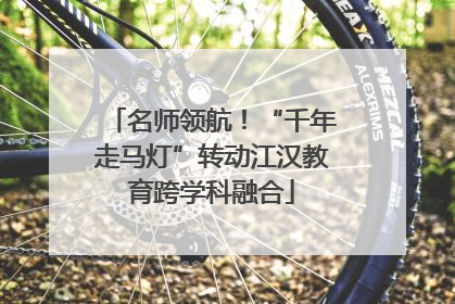 名师领航！“千年走马灯”转动江汉教育跨学科融合
