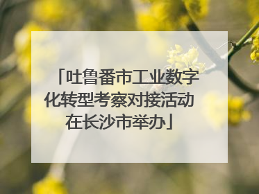 吐鲁番市工业数字化转型考察对接活动在长沙市举办