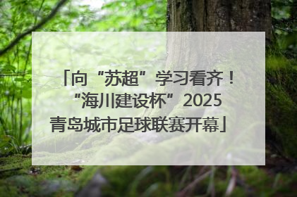 向“苏超”学习看齐！“海川建设杯”2025青岛城市足球联赛开幕