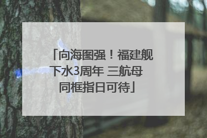 向海图强！福建舰下水3周年 三航母同框指日可待