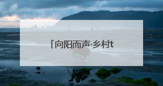 向阳而声·乡村talker季｜盐城射阳长荡镇辩论式宣讲有看头有热度
