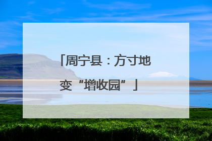 周宁县：方寸地变“增收园”