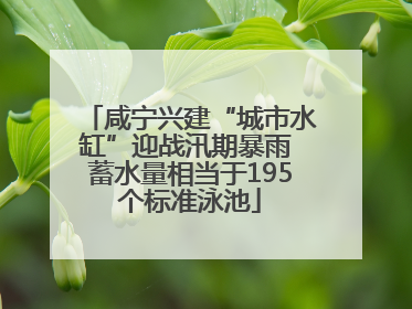 咸宁兴建“城市水缸”迎战汛期暴雨 蓄水量相当于195个标准泳池