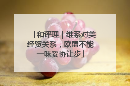 和评理｜维系对美经贸关系，欧盟不能一味妥协让步