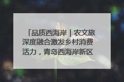 品质西海岸｜农文旅深度融合激发乡村消费活力，青岛西海岸新区的乡村振兴实践