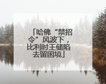 哈佛“禁招令”风波下，比利时王储陷去留困境