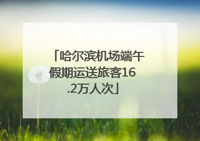 哈尔滨机场端午假期运送旅客16.2万人次