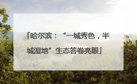 哈尔滨：“一城秀色，半城湿地”生态答卷亮眼