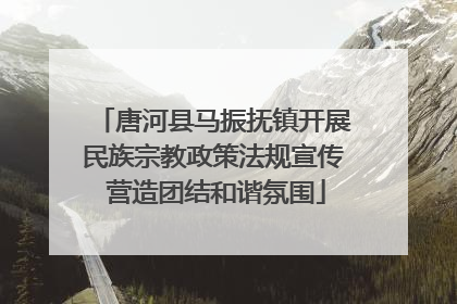 唐河县马振抚镇开展民族宗教政策法规宣传 营造团结和谐氛围