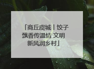 商丘虞城丨饺子飘香传温情 文明新风润乡村