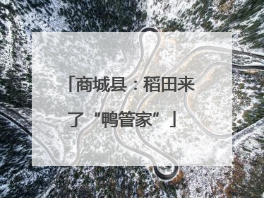 商城县：稻田来了“鸭管家”